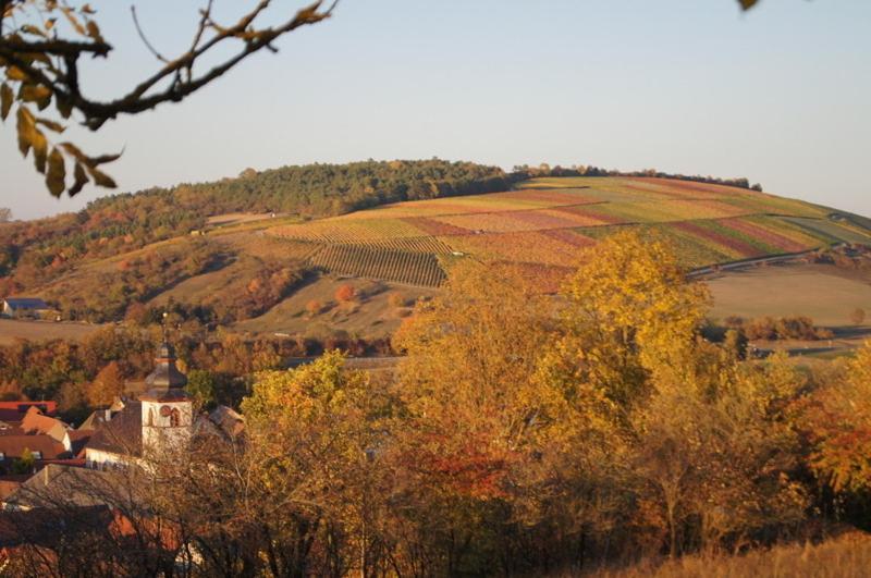 Krone Das Hotel Tauberrettersheim Eksteriør bilde
